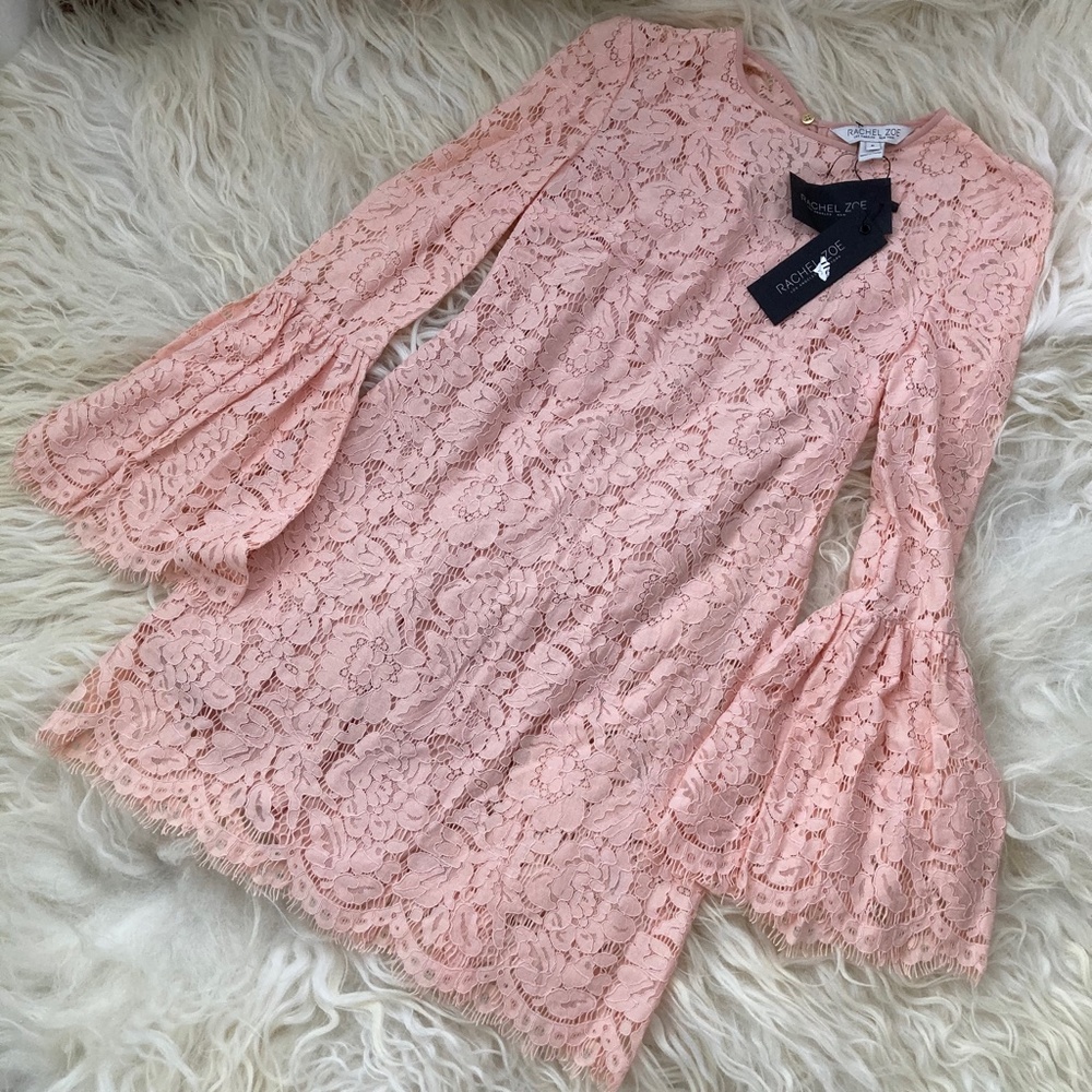RACHEL ZOE Lace Pattern Mini Dress - Picture 5 of 15